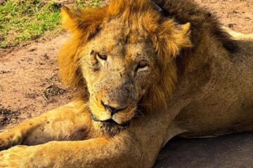 queenelizabeth national park