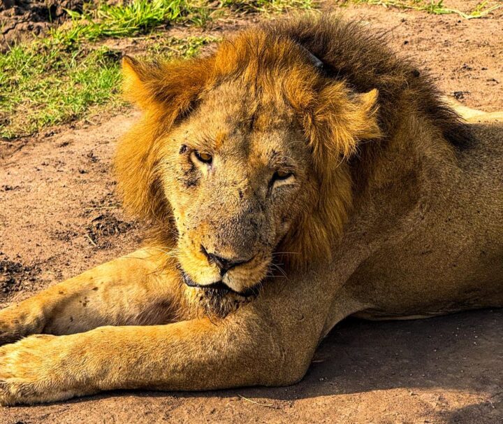 queenelizabeth national park