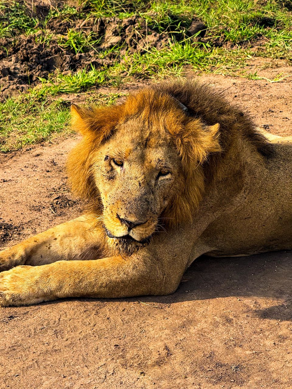 queenelizabeth national park