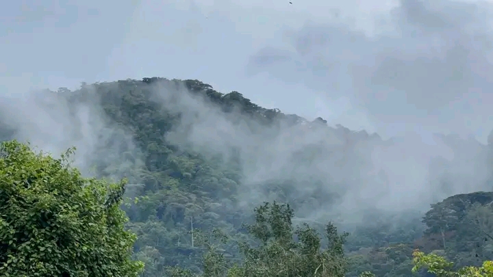 8 days rwanda safari