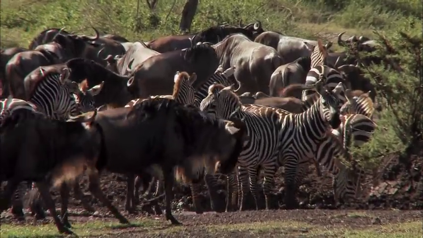 5 days best of tanzania